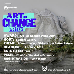 Saatchi Art / Art for Change Prize 2024