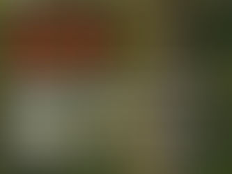 EPSON International Pano Awards 2025