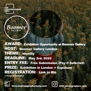 The Boomer Gallery - "Identity" Call For Artists