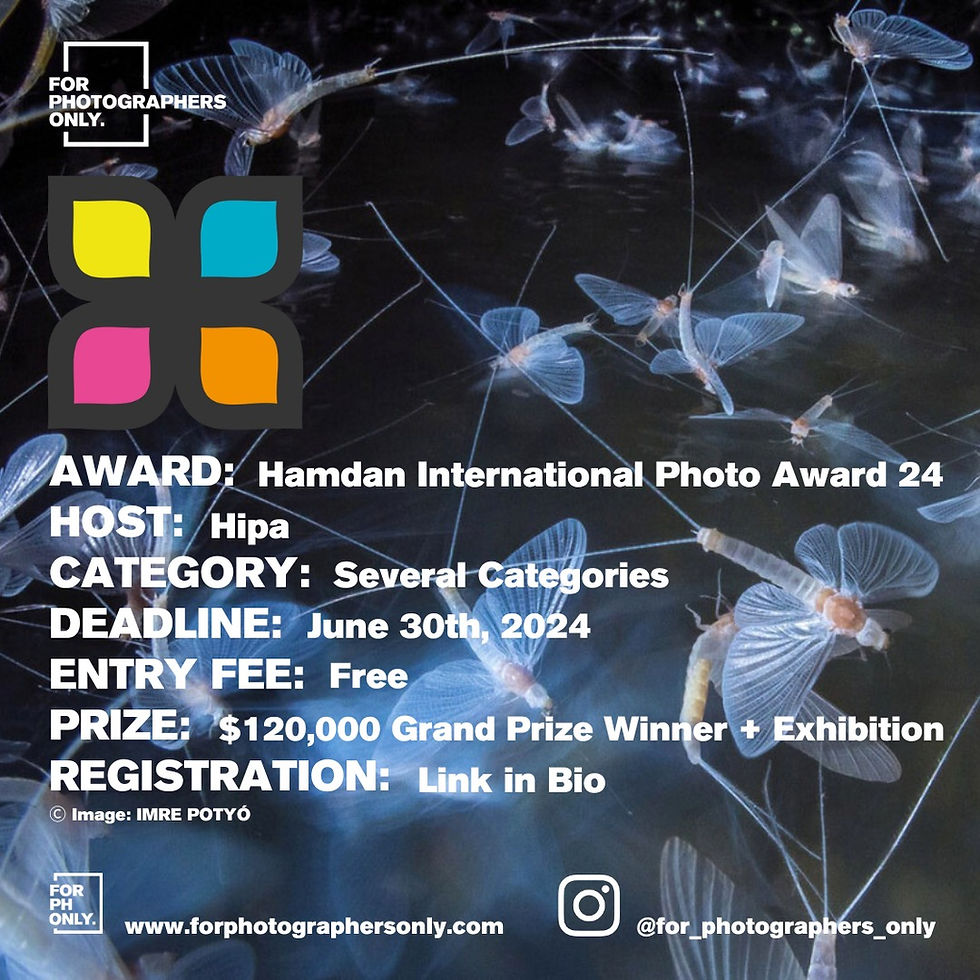 HIPA / Hamdan Photography Awards 2024