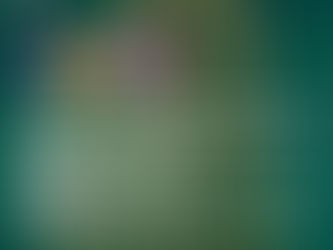 Decagon Gallery - "Patterns In the Wild" Photography Exhibition