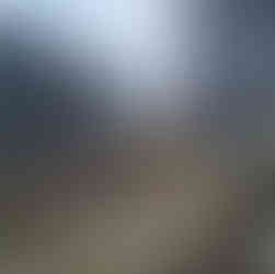 Leeds, Liverpool canal & Holbeck Viaduct Walk. The White Shire Walks.