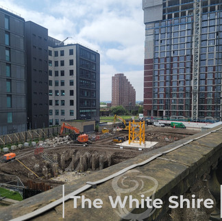 Leeds, Liverpool canal & Holbeck Viaduct Walk. The White Shire Walks.