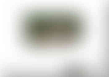 Landscape design plans by MP Landscape & Garden Design Ltd