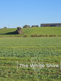 Spofforth Circular Walk. The White Shire Walks.