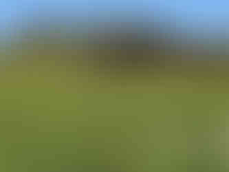 Spofforth Circular Walk. The White Shire Walks.