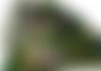 Landscape design for a property in Wakefield by MP Landscape & Garden Design Ltd