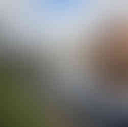 Thwaites Watermill to Leeds Dock Circular. The White Shire Walks.