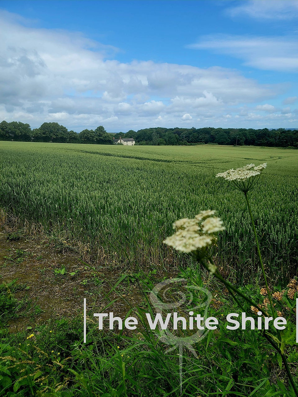 Needle's Eye Circular Walk. The White Shire Walks.
