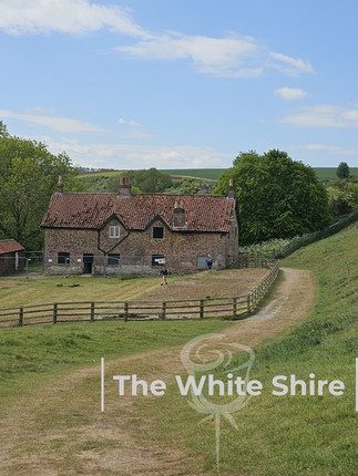 The White Shire Walks