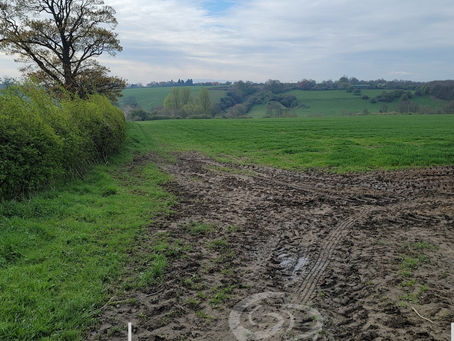 Ackworth loop walk