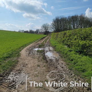 Welton loopwalk, East Yorkshire.