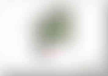 Colour concept plan-1 for a property Knottingley