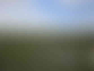 The White Shire Walks