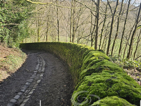 "Exploring Shipley Glen: A Scenic Circular Walk"