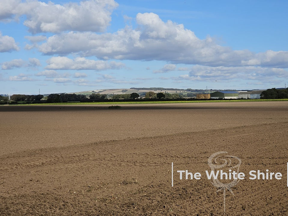 Holme-on-Spalding-Moor Circular Walk by The White Shire Walks