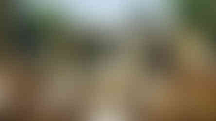 Outdoor kitchen design by by MP Landscape & Garden Design Ltd.