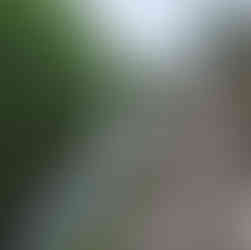 Leeds, Liverpool canal & Holbeck Viaduct Walk. The White Shire Walks.