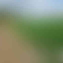 Welton loopwalk, East Yorkshire.