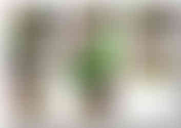 Landscape design plans for a property in Barnsley by MP Landscape & Design Ltd.