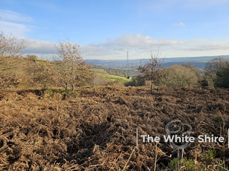 Harden Moor Circular Walk, The White Shire Walks.