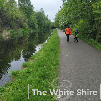 Leeds, Liverpool canal & Holbeck Viaduct Walk. The White Shire Walks.