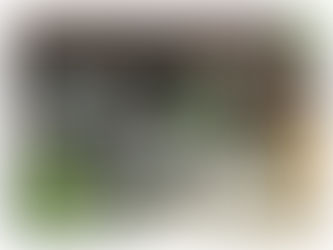 Modern Garden Layout Plan for a Small Leeds Garden with a Louvered Pergola