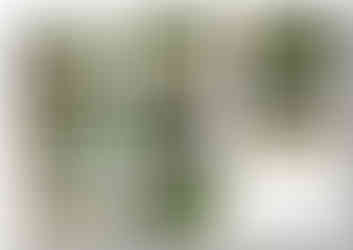 Landscape design plans for a property in Wakefield by MP Landscape & Design Ltd.