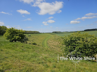 The White Shire Walks