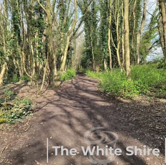 Welton loopwalk, East Yorkshire.