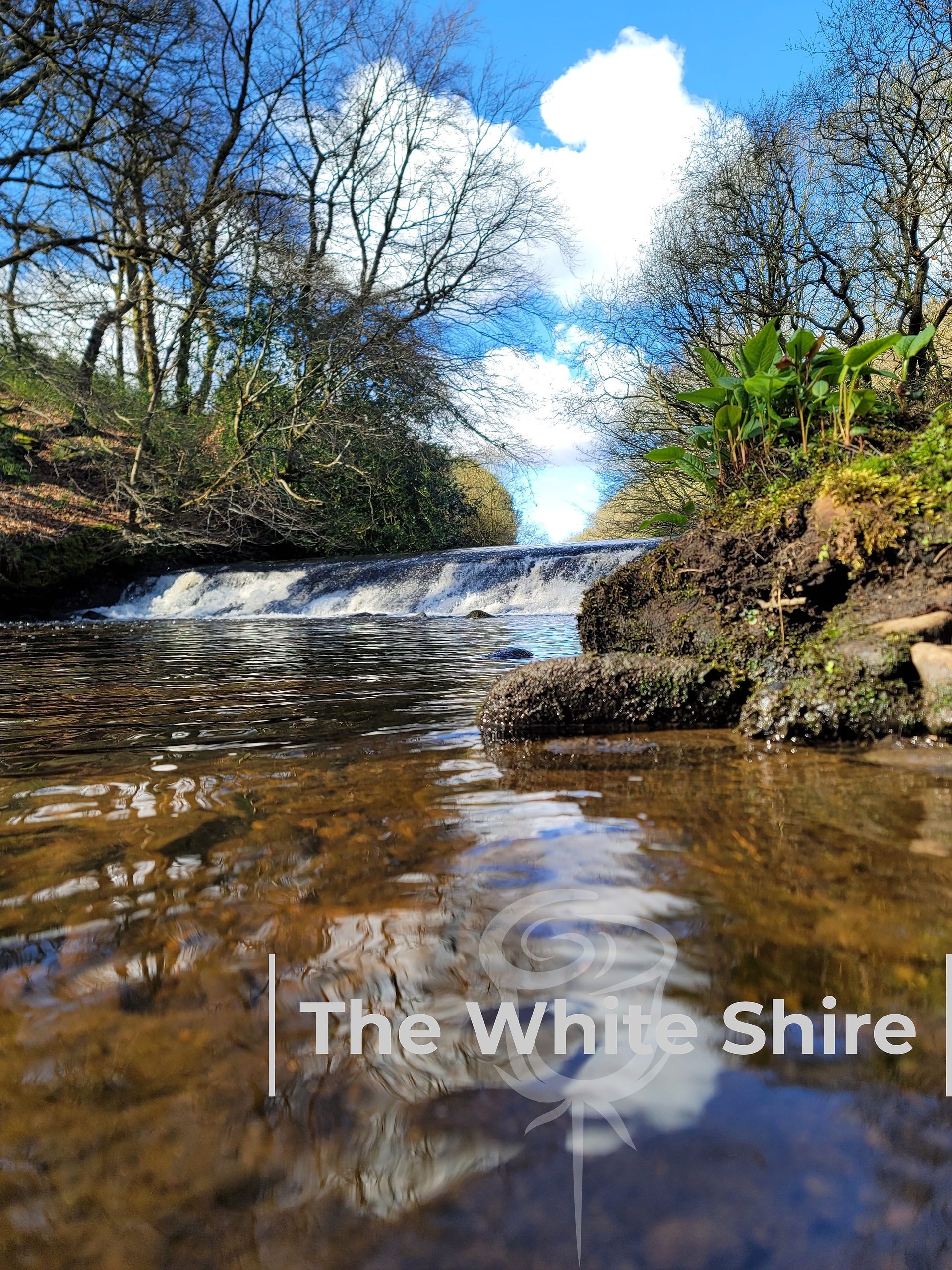 SlaithewaiteThe White Shire. West Yorkshire.