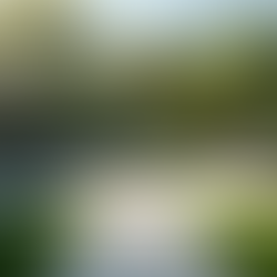 Transform Your Outdoor Space with Expert Landscaping Ideas