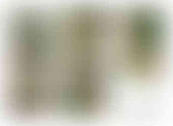 Landscape design for a property in Wakefield by MP Landscape & Garden Design Ltd