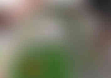 Garden design plans for a new build property in Pontefract