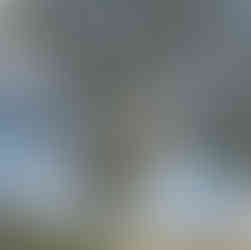 Welton loopwalk, East Yorkshire.