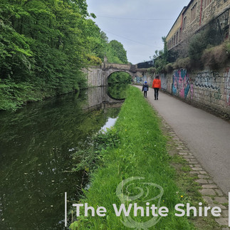 Leeds, Liverpool canal & Holbeck Viaduct Walk. The White Shire Walks.
