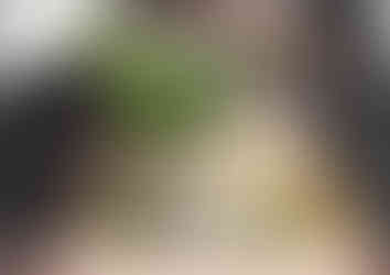 1, Garden design, overview, Wakefield