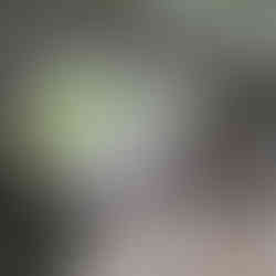 Leeds, Liverpool canal & Holbeck Viaduct Walk. The White Shire Walks.