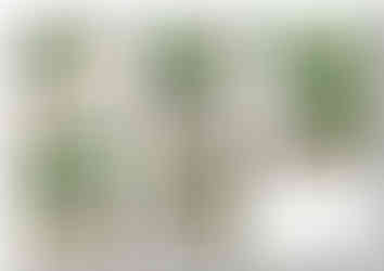 Landscape design plans for a property in Pontefract by MP Landscape & Design Ltd.