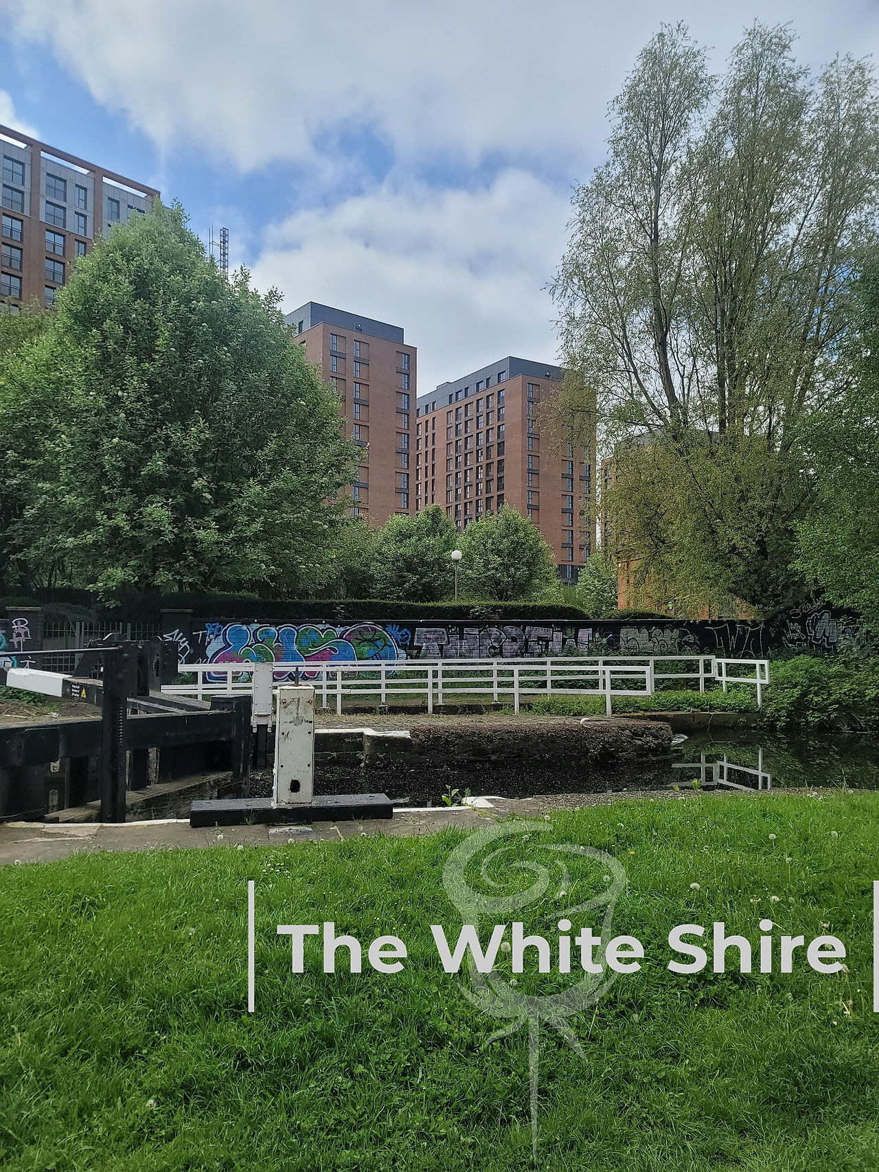 Leeds, Liverpool canal & Holbeck Viaduct Walk. The White Shire Walks.