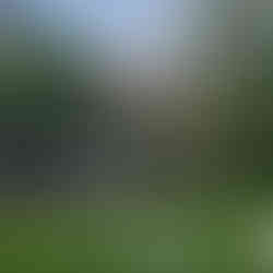 Leeds, Liverpool canal & Holbeck Viaduct Walk. The White Shire Walks.