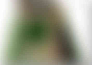 Garden design plans for a property in Bradford by MP Landscape & Garden Design Ltd