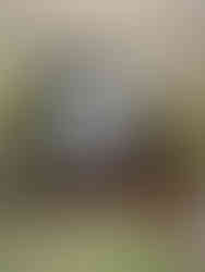 Ripon circular walk by The White Shire Walks.