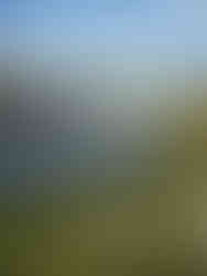 Castleford Aire & Calder