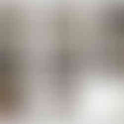 3, Concept plan 1, 3D images for property in Barnsley