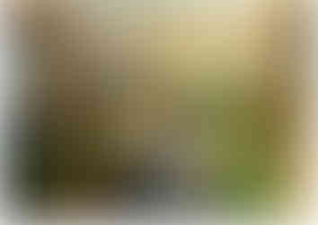 Garden design plans, Upton, Pontefract.