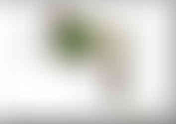 2, Colour concept plan,1 for a rear garden in Walton, Wakefield