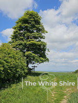 The White Shire Walks