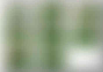 8, Concept plan-2 3D images for a property in Featherstone