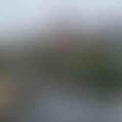 Leeds, Liverpool canal & Holbeck Viaduct Walk. The White Shire Walks.